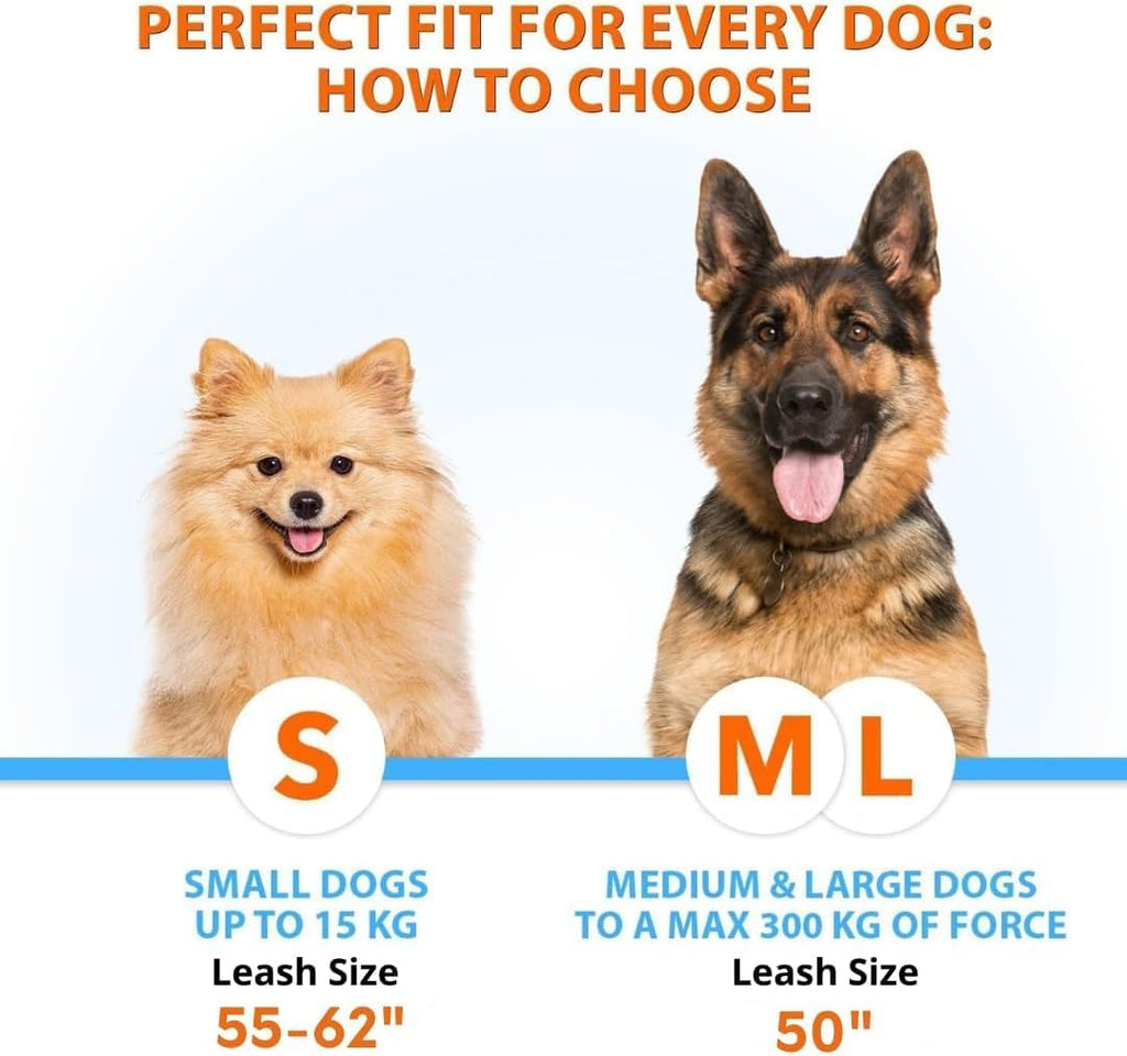 Hands Free Double Dog Leash – Dual Leash for Medium and Large Breeds – Lead for 2 Dogs with Padded Handles, Reflective Stitches, No Pull, Tangle Free