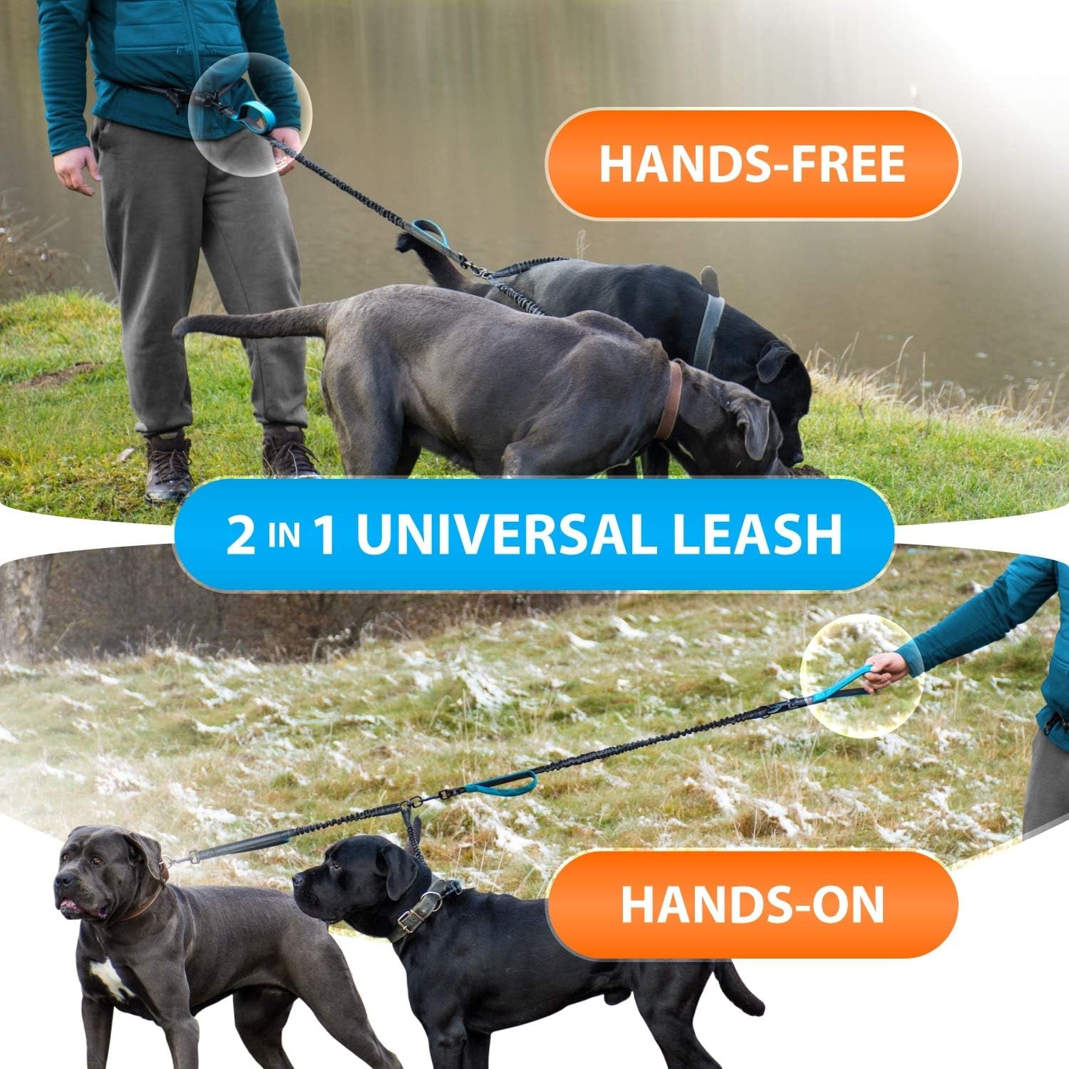 Hands Free Double Dog Leash – Dual Leash for Medium and Large Breeds – Lead for 2 Dogs with Padded Handles, Reflective Stitches, No Pull, Tangle Free